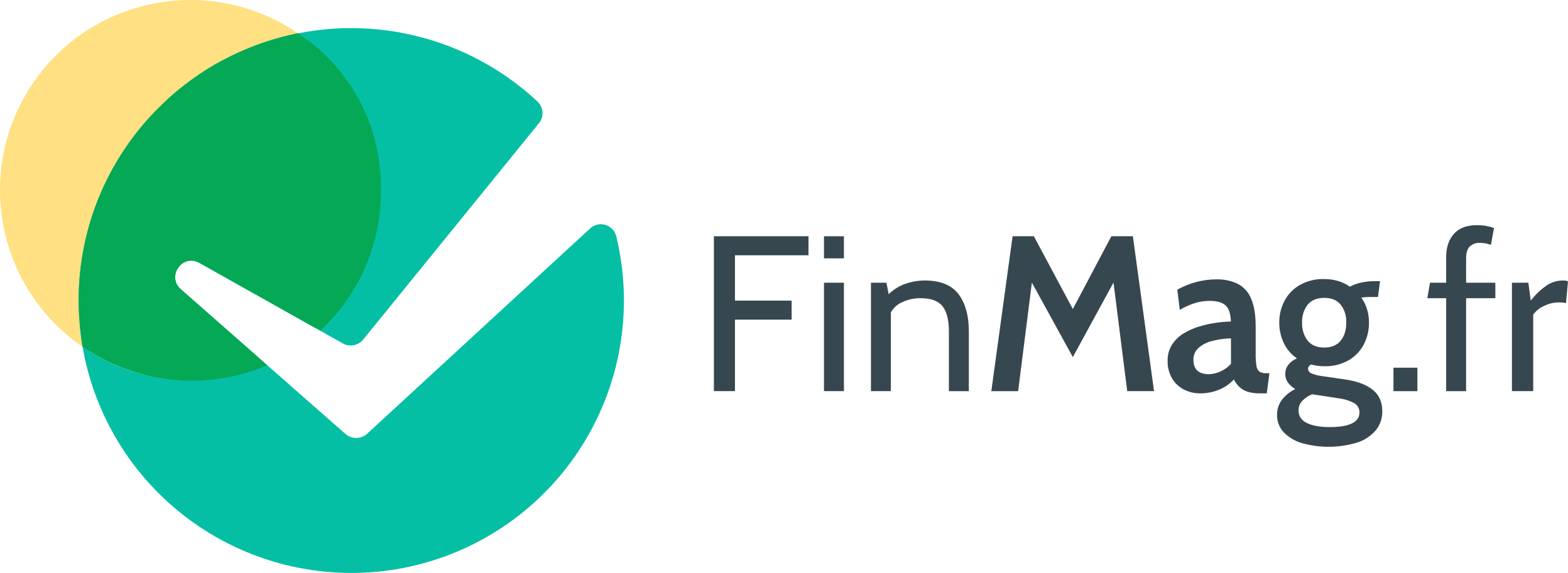 Finmag Logo